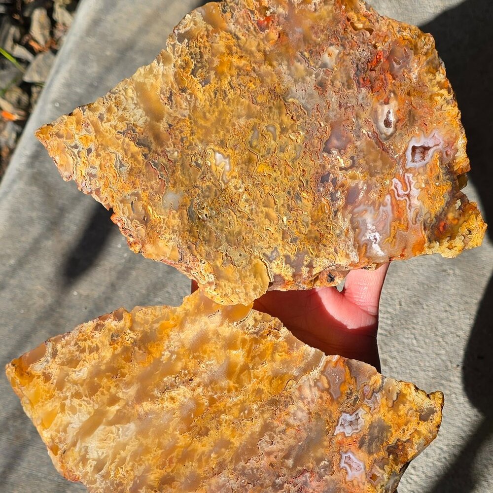 Beautiful Graveyard point Plume Agate